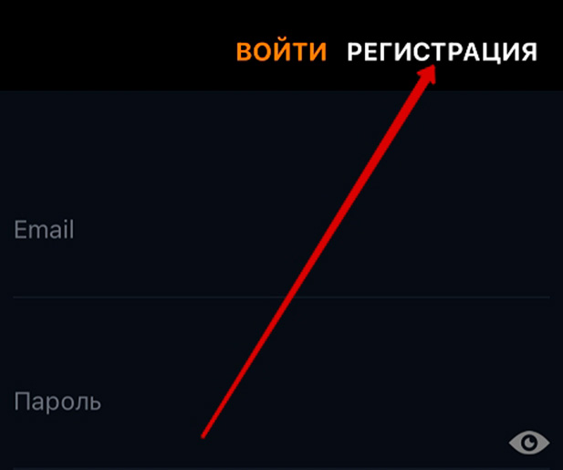 Вход в профил