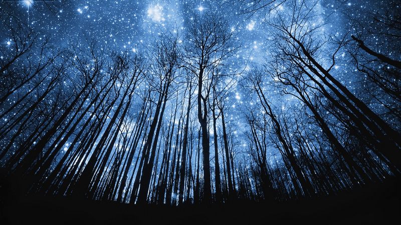 stars-in-the-night-sky September event
