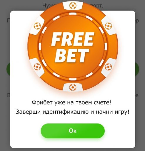 Авторизация в приложении