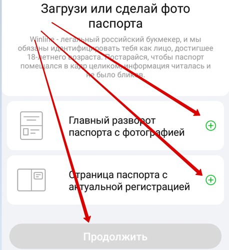 Верификация в приложении