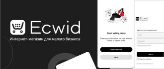 Ecwid — обзор конструктора интернет-магазина, плюсы и минусы