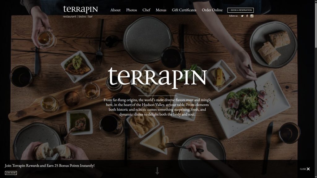 Интерфейс магазина Terrapin