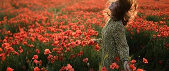 Девушка в маковом поле у села Сирень в Бахчисарайском районе Крыма