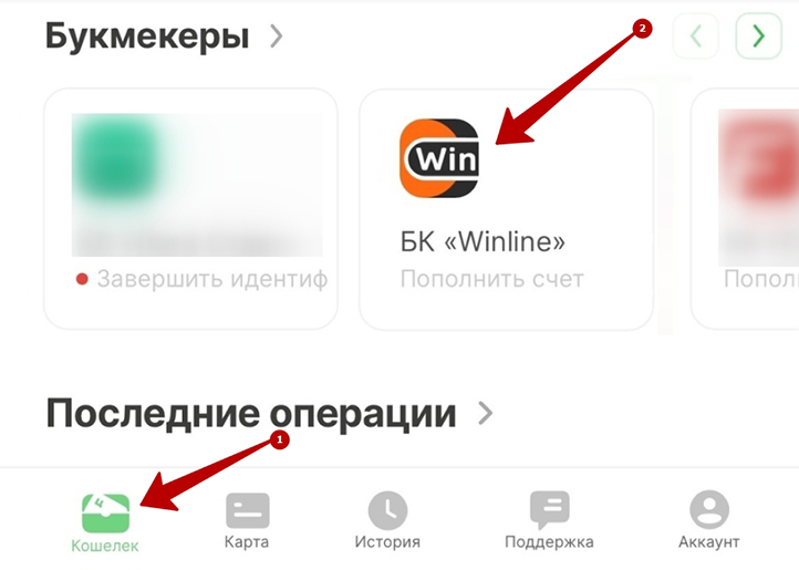 Единый ЦУПИС