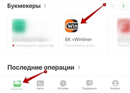 Единый ЦУПИС