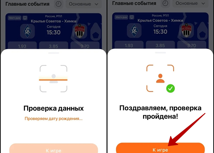 Букмекерская компания