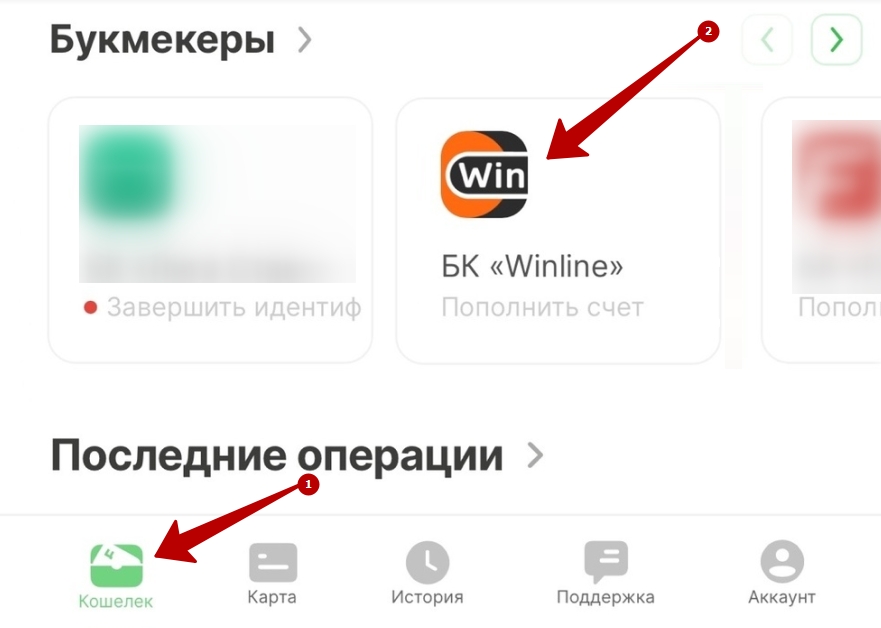 Единый ЦУПИС