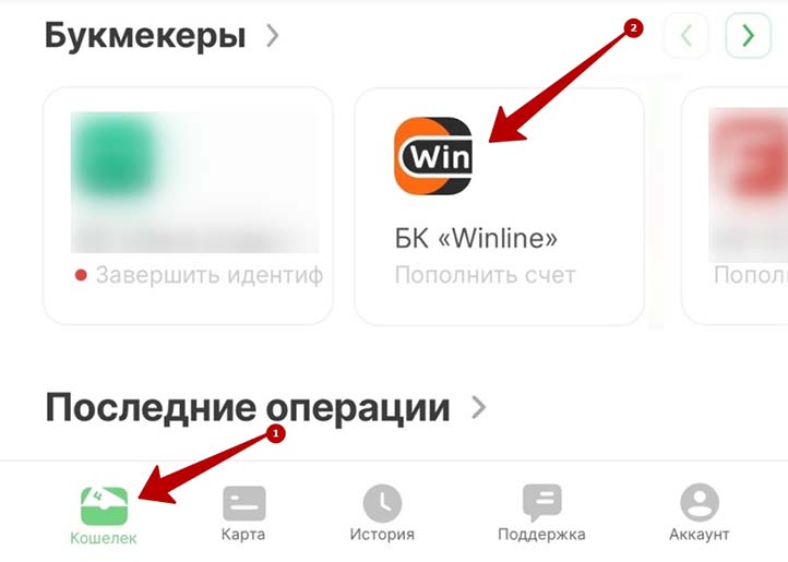 Единый ЦУПИС